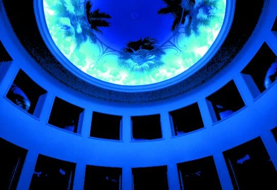 Image of Product Dim to Warm