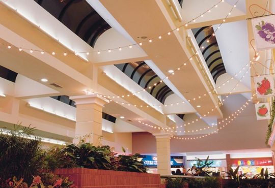 Image of Product Tokistar – Exhibitor