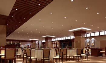 Link to Category Down Lighting Listing